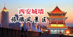 插黑丝美女的粉逼中国陕西-西安城墙旅游风景区